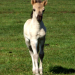 Abenteuer Wildnis