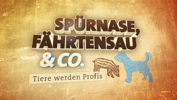 Bild 1 von 1: Logo