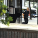 Blue Bloods - Crime Scene New York