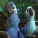Rio 2 - Dschungelfieber