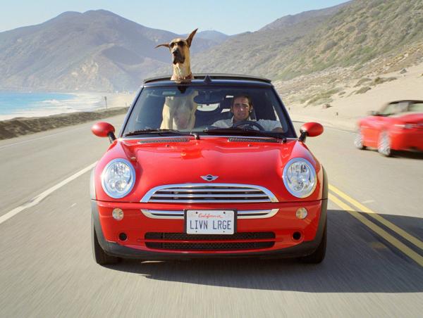 Bild 1 von 3: Da Marmadukes Besitzer Phil Winslow (Lee Pace) eine Werbekampagne starten soll, verbringen die beiden ihre Zeit in Kalifornien.