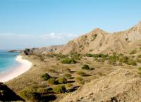 Wildes Indonesien