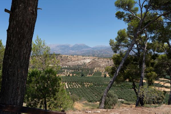 Bild 1 von 11: Auf Kreta erschaffen die Minoer eine reiche Kultur.