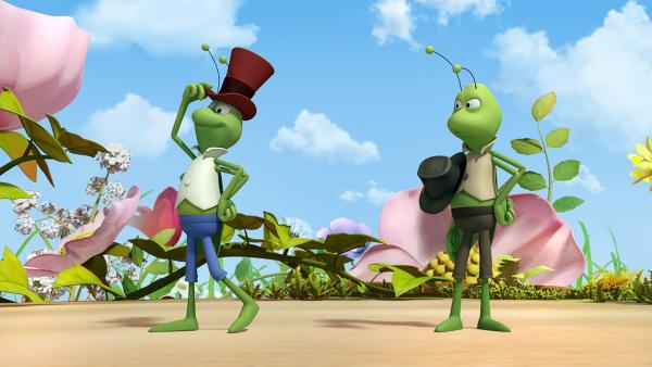 Bild 1 von 5: Flip und Flop im Wettbewerb.