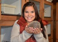 Anna und die wilden Tiere