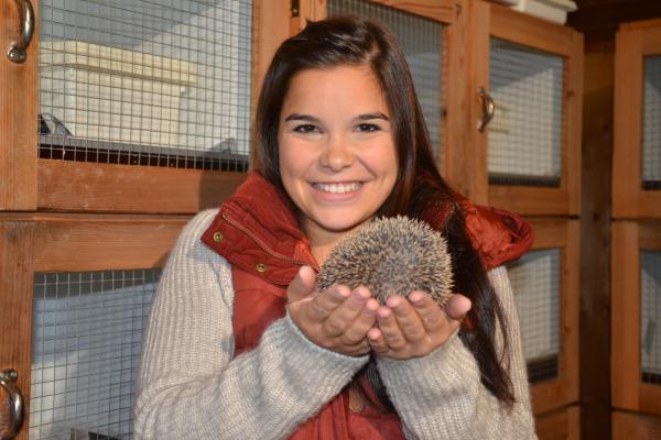 Bild 1 von 8: Anna und ein Jungigel. In der SOS-Igelstation Donauwörth wird der Jungigel für den Winter fit gemacht. Dazu gehören Entwurmung und ausreichend Futter für die Gewichtszunahme.