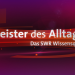 Meister des Alltags