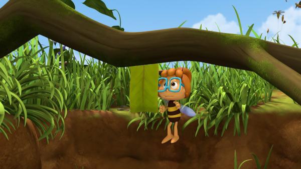 Bild 1 von 4: Clara, die Nichte der Königin, ist weggelaufen, um bei der Schatzsuche mitzumachen.