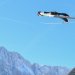 Skispringen