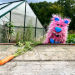 Bild 4