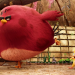 Angry Birds - Der Film