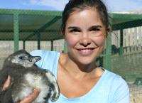 Anna und die wilden Tiere