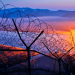 Im Niemandsland - Was Korea teilt