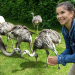 Anna und die wilden Tiere