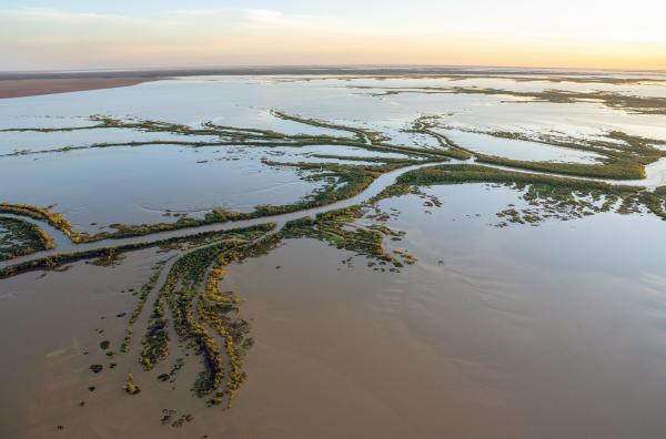 Bild 1 von 3: Das einzigartige Watt an der Küste der Kimberley-Region wird von Australiens stärksten Gezeiten geformt. Die Dambimangari-Ranger der Land- und Küstenwache schützen diesen äußerst sensiblen Lebensraum.