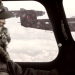 Wings of Honour