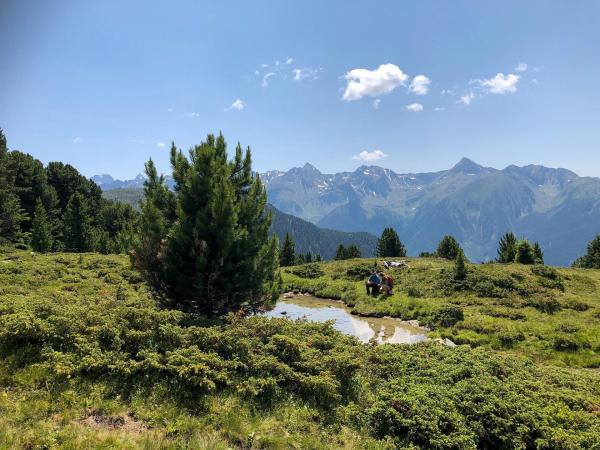 Bild 1 von 5: Im Bild: Sepp Reinstadler und Marlies Raich bei den Dreharbeiten.