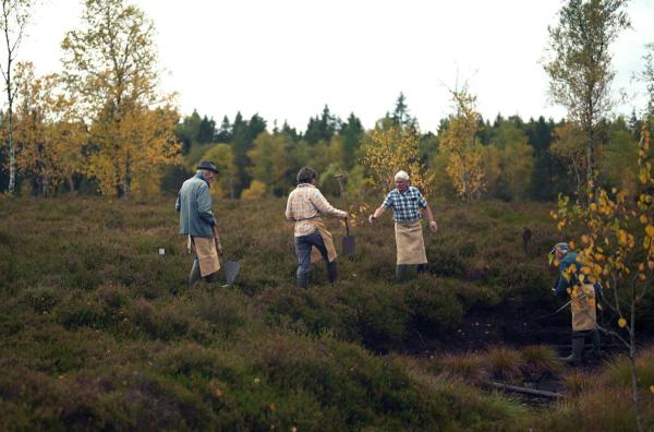 Bild 1 von 4: Eine lange Geschichte verbindet Mensch und Moor im Jura.