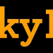 Der Hundetrainer - Lucky Dogs mit Brandon McMillan