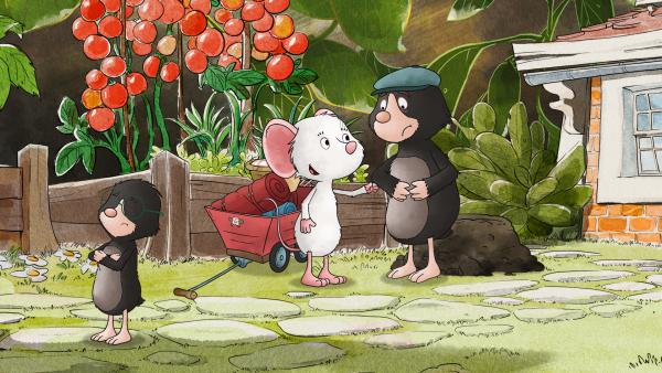 Bild 1 von 2: Maulwurfskind Karl möchte mit Tilda Apfelkern zelten gehen. Ob sein Papa das erlaubt?