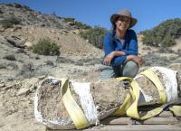 Geheimnisse der Jurassic-Saurier