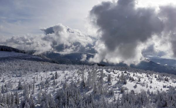 Bild 1 von 2: Der Schwarzwald im Winter.