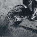 Motocross: WM in Australien