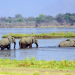 Die wilden Flüsse Afrikas