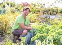 Mein urbaner Garten - Zwischen Blüten und Beton