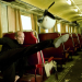 Transporter 3