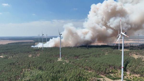 Bild 1 von 3: Laut dem Bundesministerium für Ernährung und Landwirtschaft vernichteten im Jahr 2022 2.397 Brände rund 3.058 Hektar Waldfläche.