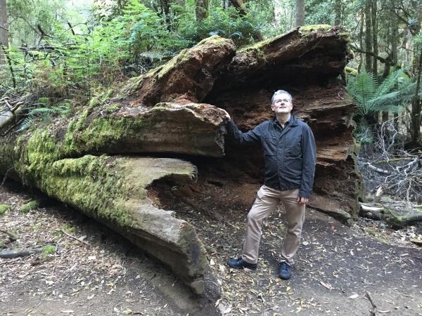 Bild 1 von 4: Sir Christopher Clark im australischen Regenwald.