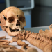Friedhof der Vampire