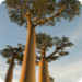 Planet Erde