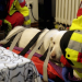 Tierretter mit Herz