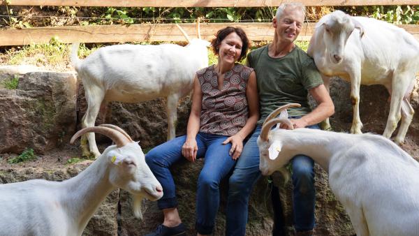 Bild 1 von 11: Auf dem Berghof von Monika und Wolfgang Schudt im bayerischen Spessart wird viel gemeckert. Denn hier dreht sich fast alles um Ziegen. Die Milch von 200 Muttertieren verarbeiten die Beiden hier zu besonderen Käse-Kreationen.