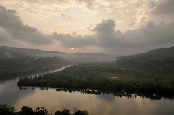 Bild 1 von 3: Das Kardamomgebirge im Westen Kambodschas ist einer der letzten großen Regenwälder in Südostasien. Es ist Rückzugsort für Dutzende bedrohte Tierarten.