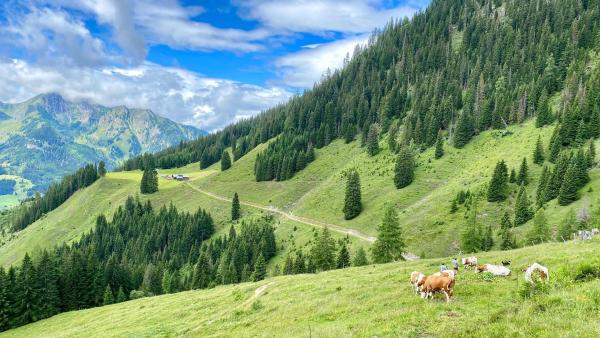 Bild 1 von 10: Im Bild: Hohe Tauern.