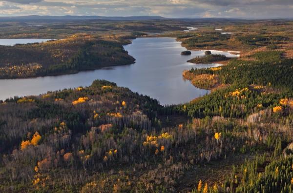 Bild 1 von 3: Das boreale Québec ist geprägt von ausgedehnten Nadelwäldern, klaren Seen und einer reichen Tierwelt ? darunter Karibus und Elche.