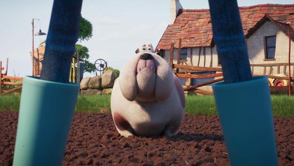 Bild 1 von 1: Bertha wird vom Bauern zu einem Hofhund ausgebildet.