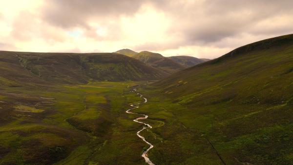 Bild 1 von 4: Im Cairngorms-Nationalpark entspringen zahlreiche Flüsse, die für ihr besonders sauberes Wasser bekannt sind.