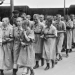 1942 - Geschichten vom Krieg