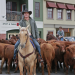 Heartland - Paradies für Pferde