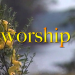 Worship