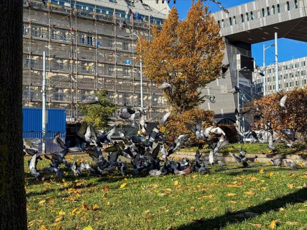 Bild 1 von 32: Im Bild: \