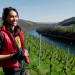 Wein am Rhein