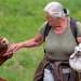 Sommer auf der Augstwiesalm