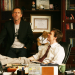 Dr. House