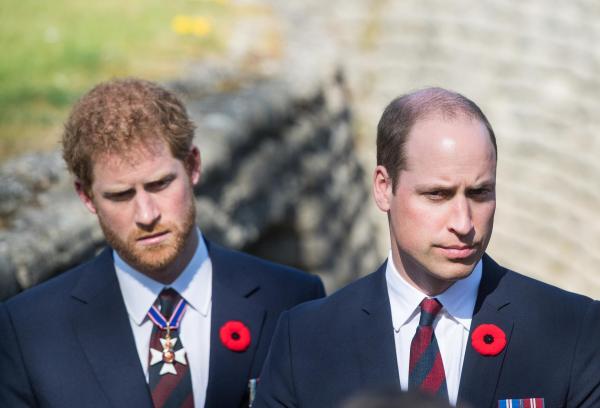 Bild 1 von 1: Im Bild: Prinz Harry, William, Prinz von Wales.