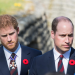 Harry und William - Zwei Prinzen gegen die Presse